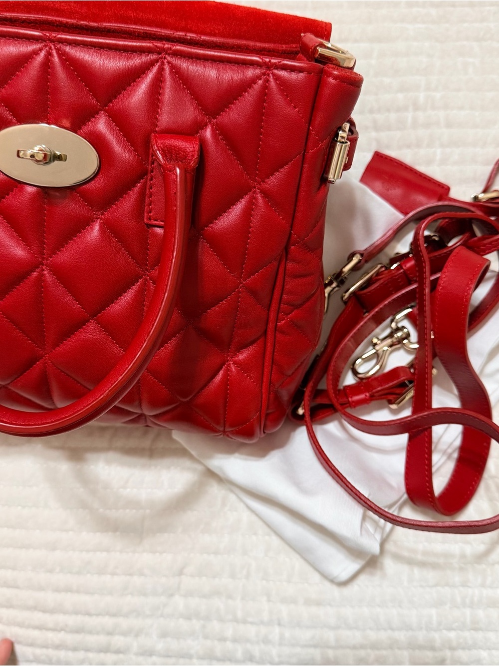 Mulberry Mini Cara Delevigne Bag - Picture 5 of 7